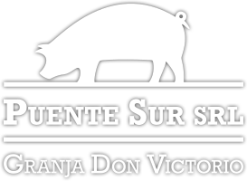 Puente Sur SRL